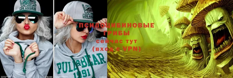 Галлюциногенные грибы Psilocybine cubensis  кракен tor  shop наркотические препараты  цены наркотик  Балашов 